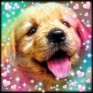 Meet your Posher, Kadence